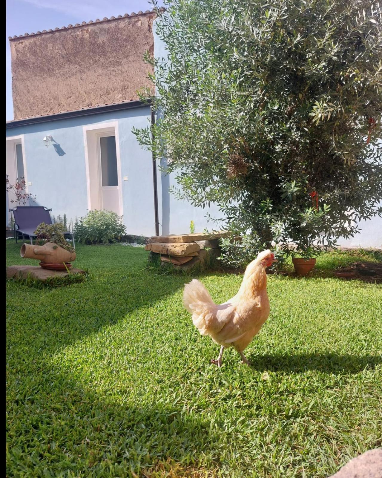 Dolianova B&B Il Borgo Delle Emozioni المظهر الخارجي الصورة